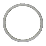 TriTech Manifold Filter Block O-Ring